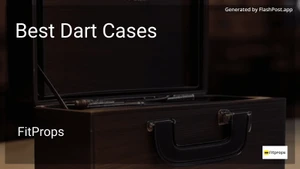 9 Best Dart Cases in 2025 image