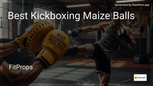 6 Best Kickboxing Maize Balls in 2026 image