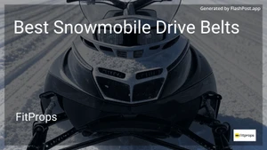9 Best Snowmobile Drive Belts in 2026 image