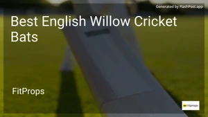 8 Best English Willow Cricket Bats in 2026 image