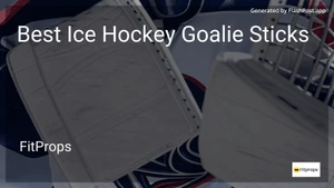6 Best Ice Hockey Goalie Sticks in 2025 image