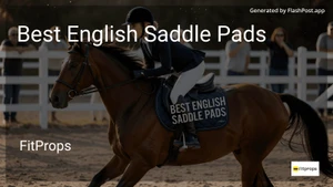 6 Best English Saddle Pads in 2026 image