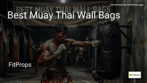 9 Best Muay Thai Wall Bags in 2026 image