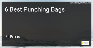 6 Best Punching Bags in 2025 image
