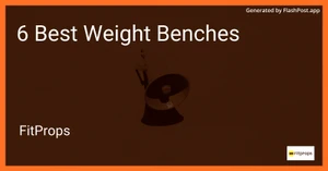 6 Best Weight Benches in 2025 image