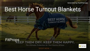 7 Best Horse Turnout Blankets in 2026 image