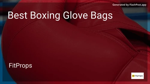 10 Best Boxing Glove Bags in 2026 image