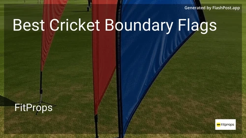 9 Best Cricket Boundary Flags in 2025 image