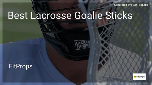 8 Best Lacrosse Goalie Sticks in 2025 preview