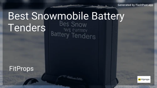 9 Best Snowmobile Battery Tenders in 2026 image