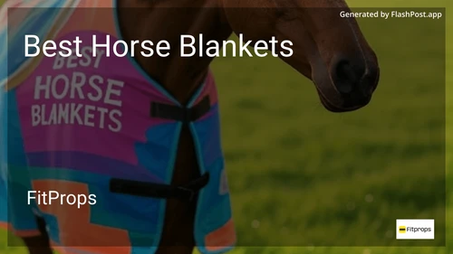 7 Best Horse Blankets in 2025 preview
