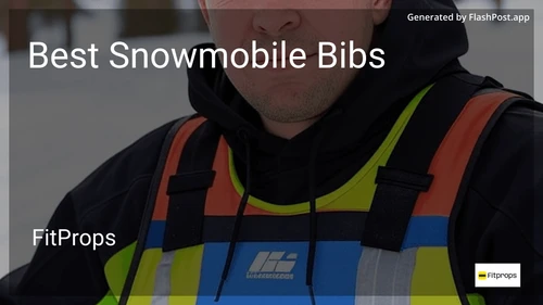 7 Best Snowmobile Bibs in 2026 image