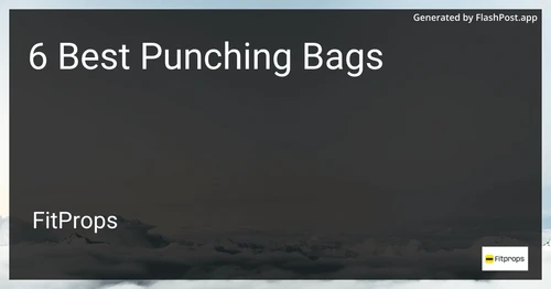 6 Best Punching Bags in 2025 preview