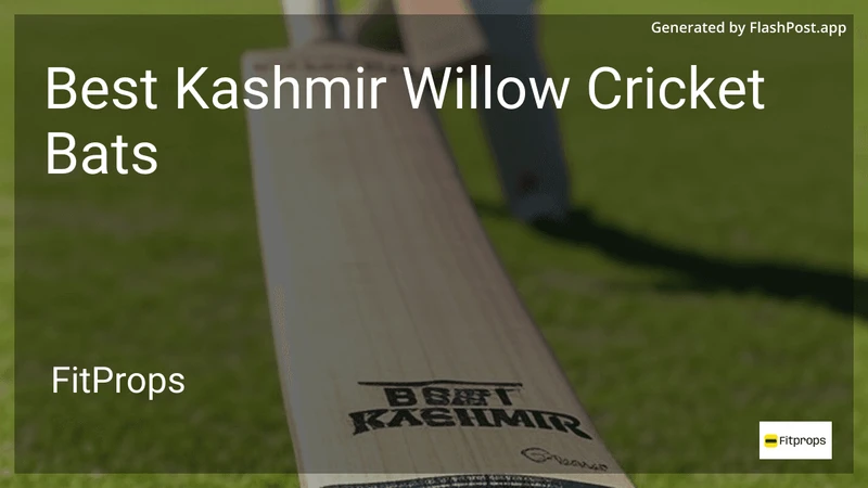 8 Best Kashmir Willow Cricket Bats in 2026 preview