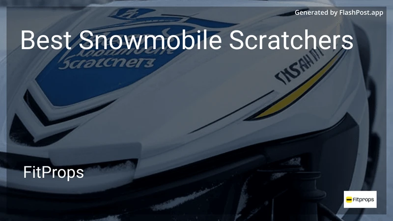 9 Best Snowmobile Scratchers in 2026 preview