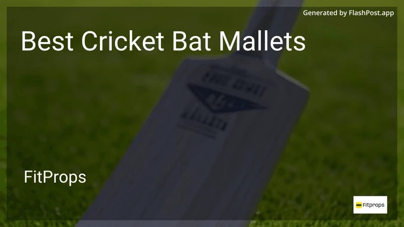 6 Best Cricket Bat Mallets in 2026 preview