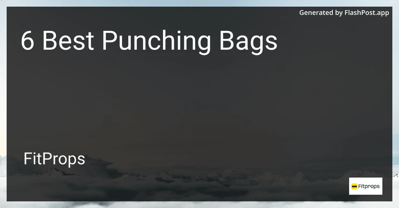 6 Best Punching Bags in 2026 preview